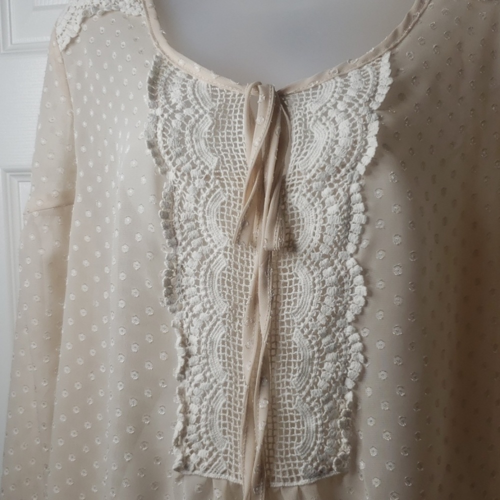 Cal Style Feminine Cottagecore Sheer Polka Dot and Lace Smock Blouse - Picture 2 of 7